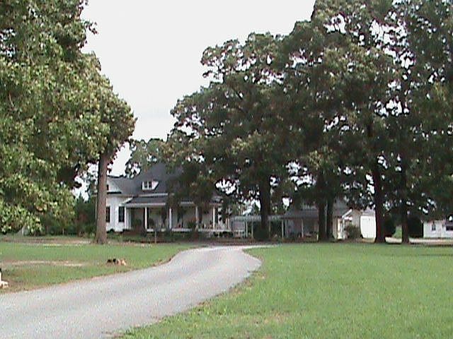 View from Road