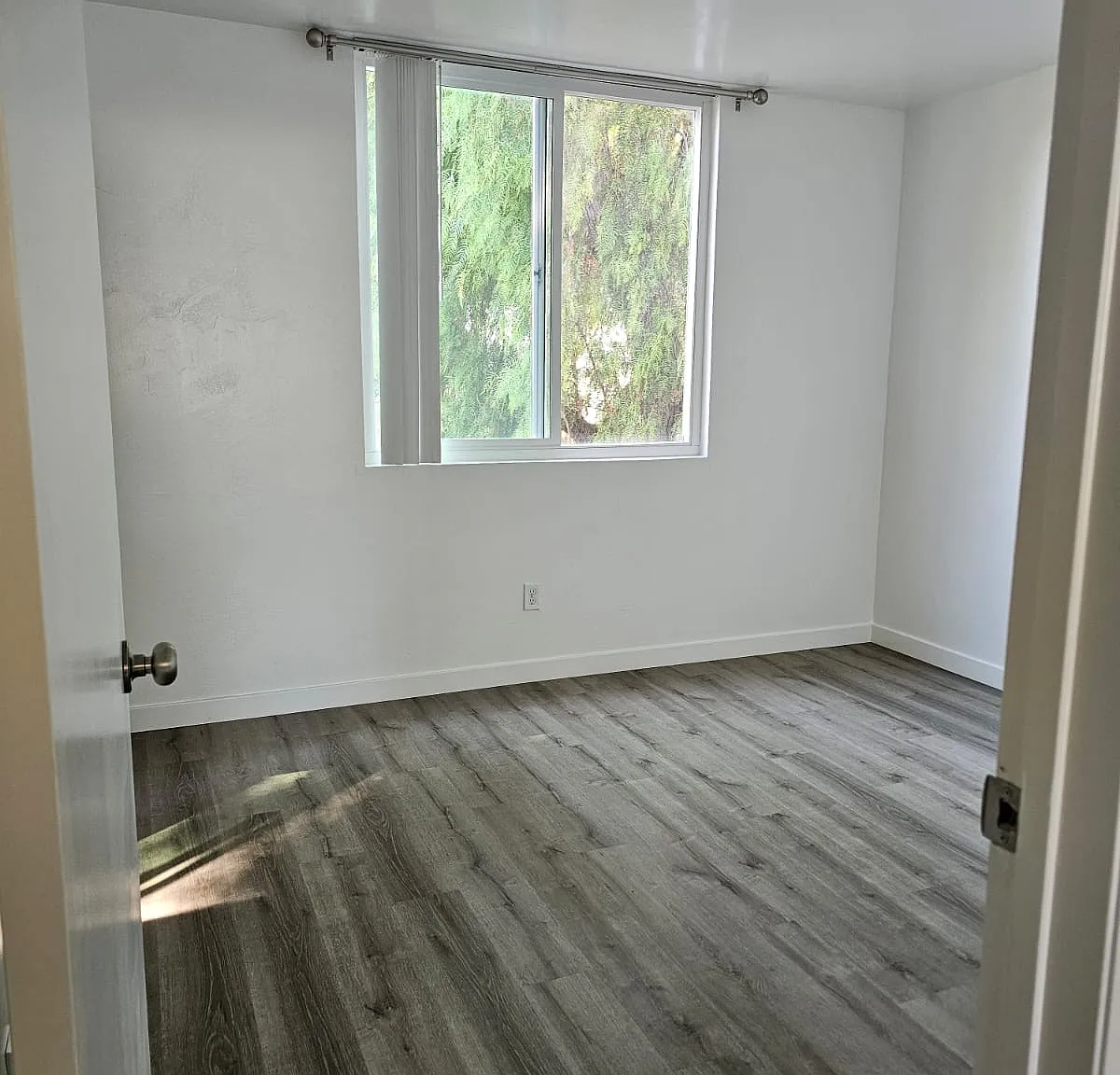2 bed, 1.5 bath, 930 sqft, $3,600 — Photo 4