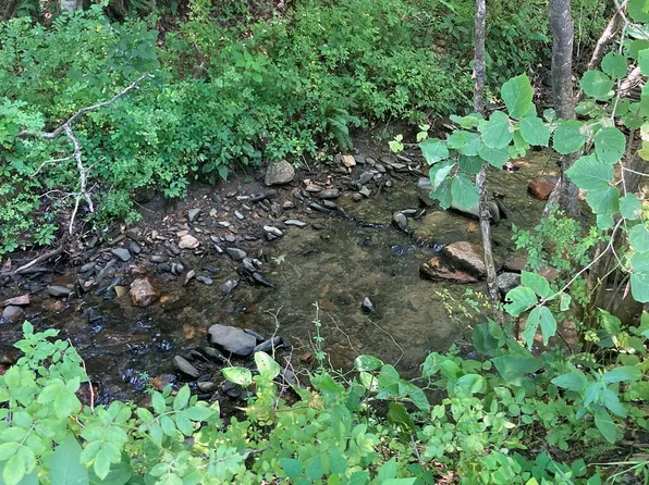 0 Pond Rd, Spruce Pine, NC 28777