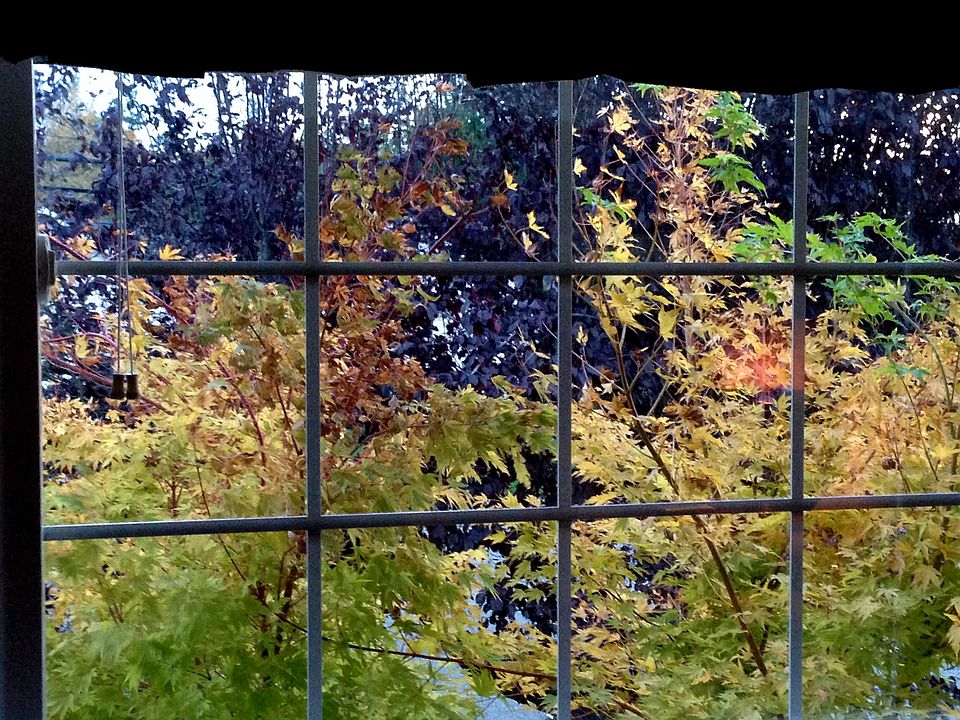 Living room picture window