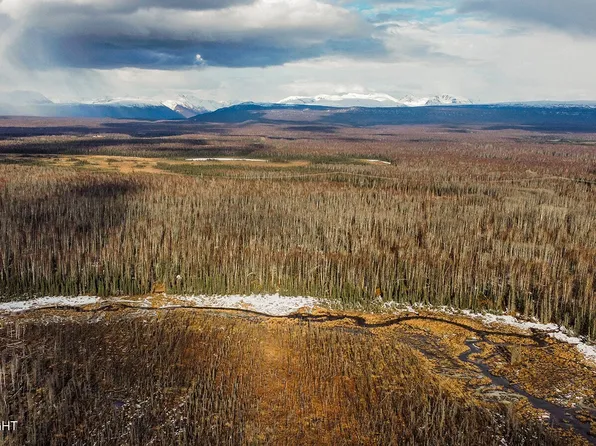 PARCEL C1 Crop Circle Rd, Willow, AK 99688