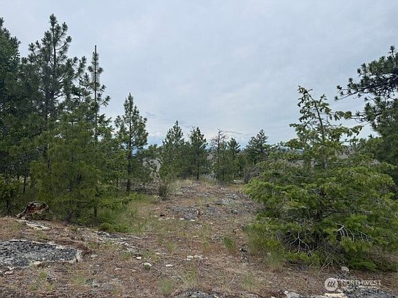 2nd image of 111 TBD Patterson Creek
