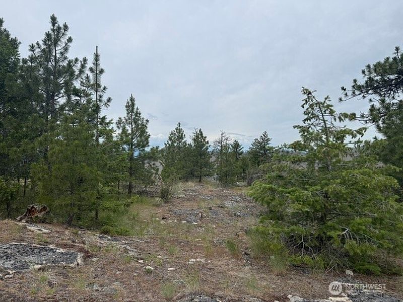 2nd image of 111 TBD Patterson Creek