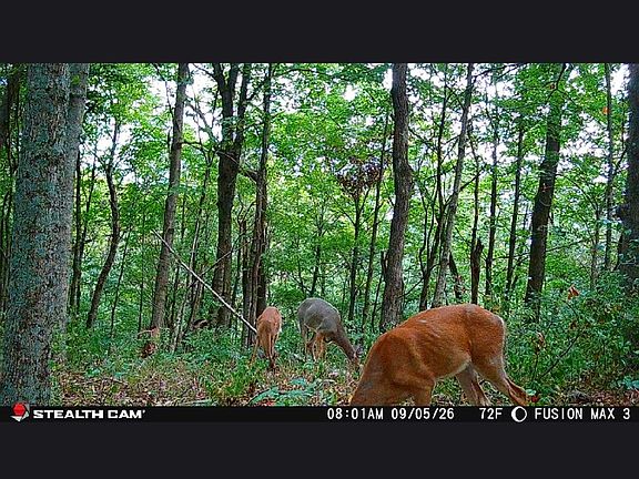 3rd image of 2407 Beaver Rd #B