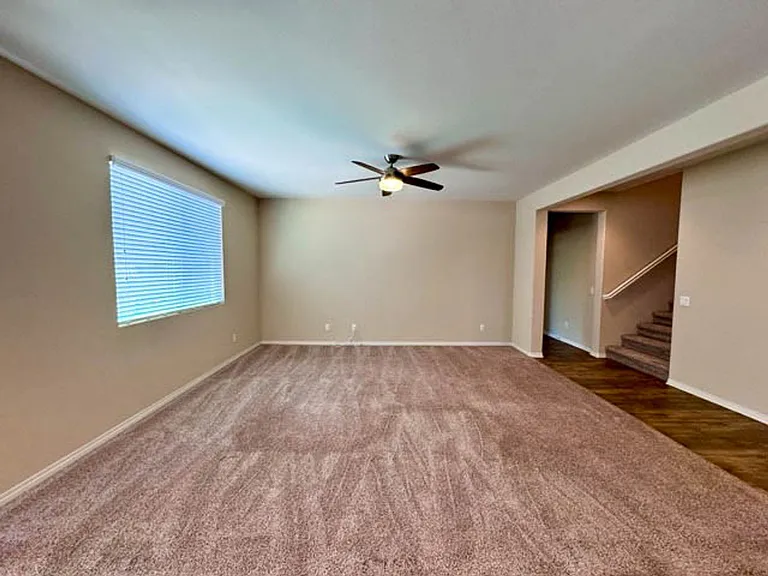 34726 Yellow Root St — Photo 25