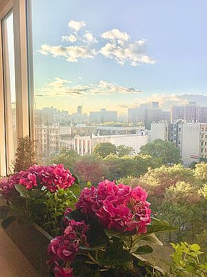 4th image of 1280 5th Ave APT 7K