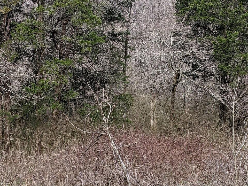 2nd image of Pumphouse Ln