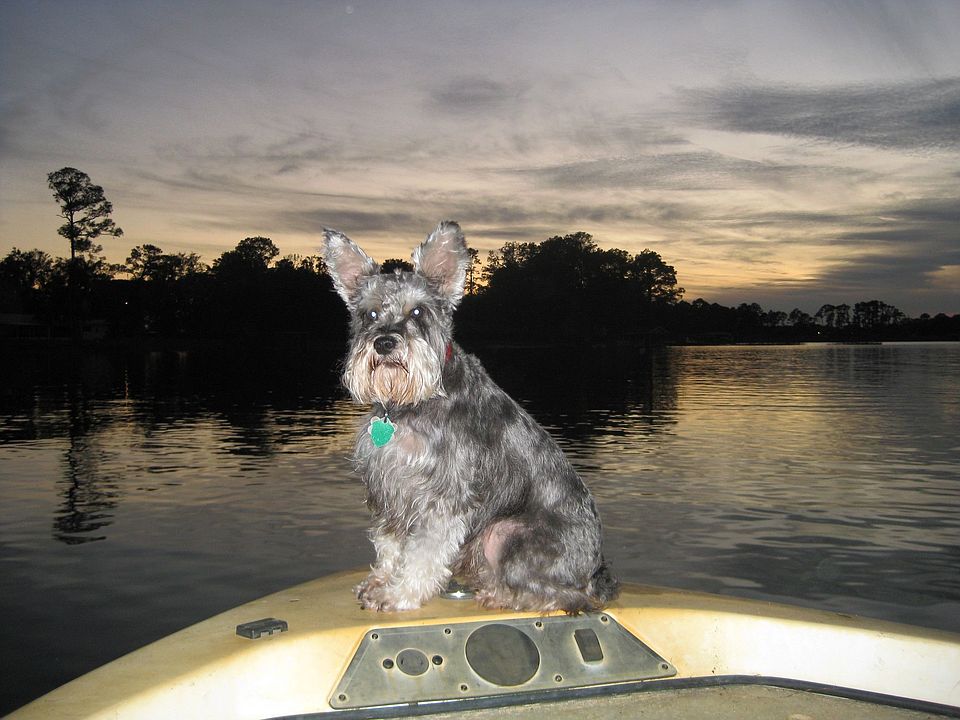 Evenings on Lake Sylvan