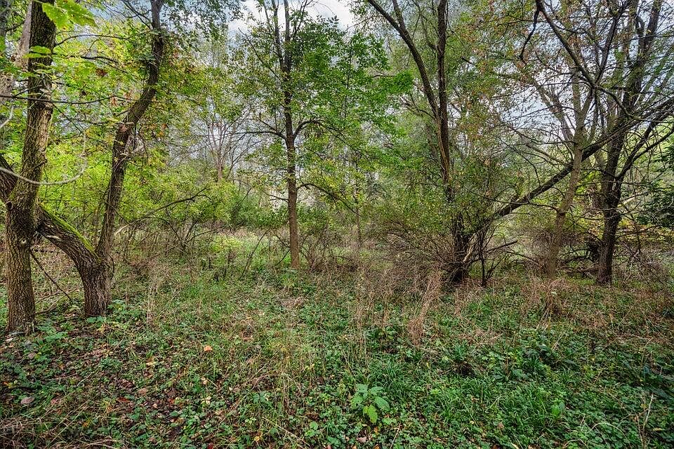Lot 32&37 N Ann St, photo 10