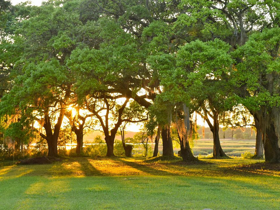 4420 Wando Farms Rd, Awendaw, SC 29429 Zillow