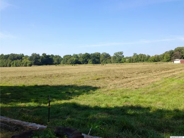 65 Jacks Rd, Elora, TN 37328