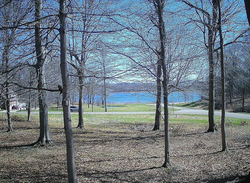 8856 Beechwood Ct, Berrien Center, MI 49102 Zillow