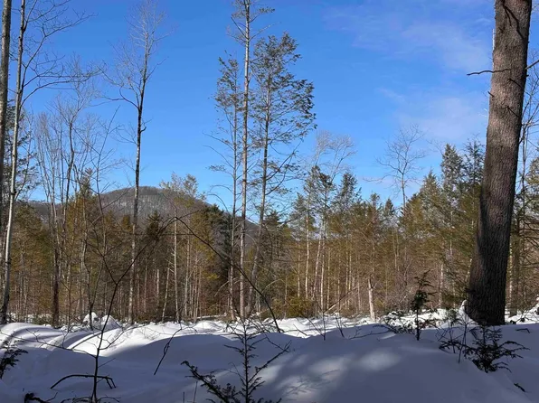 M409 L66-1 Old Turnpike Road, Richmond, NH 03470