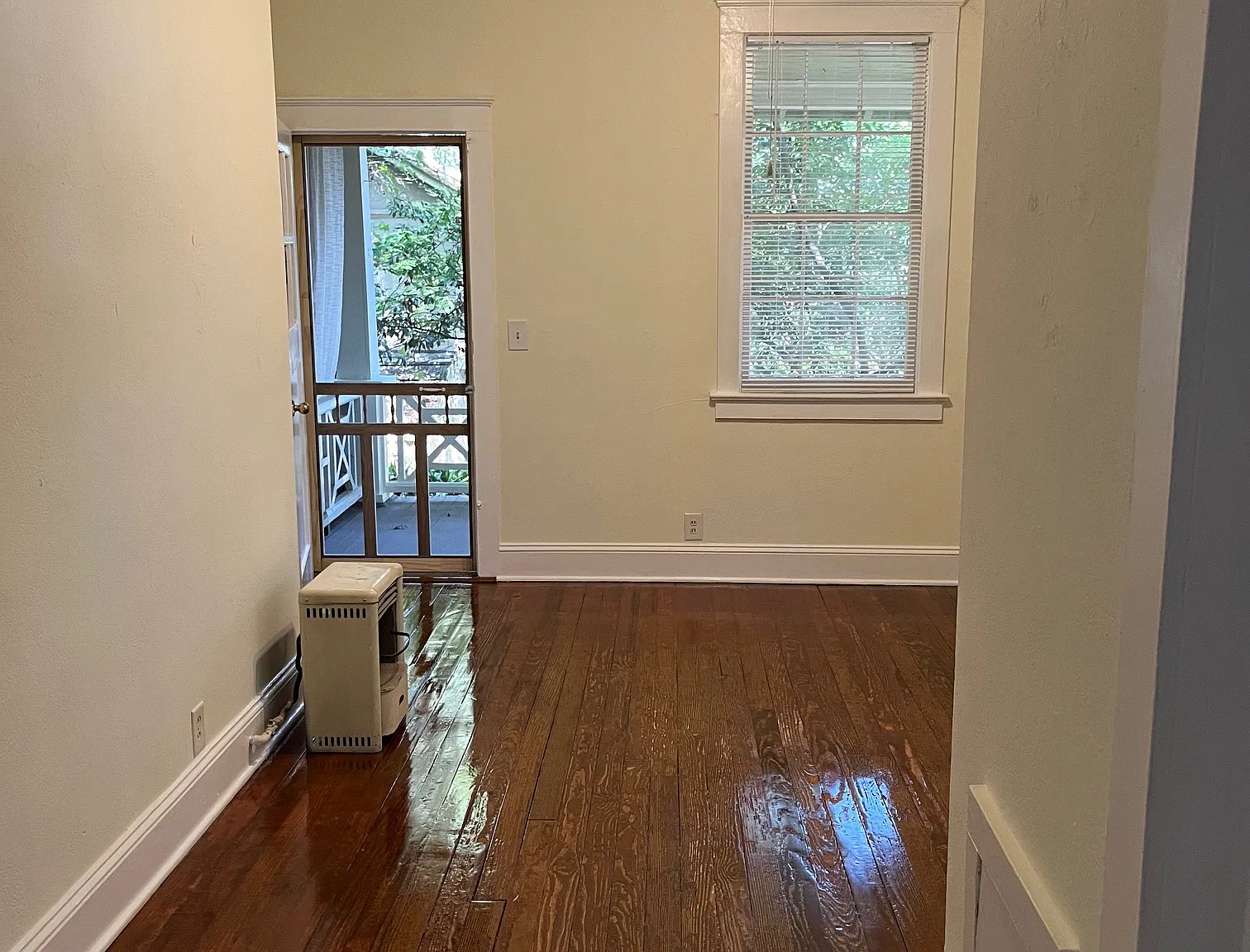 1 bed, 604 sqft, $1,055 — Photo 3