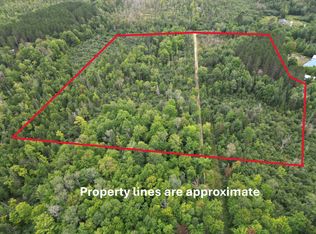 Golden Rd SE, Kalkaska, MI 49646