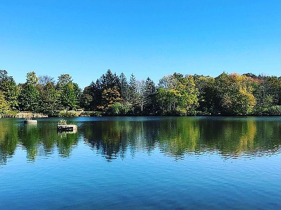 Pond across street