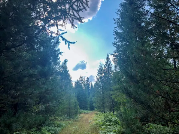 Nhn Ridge Loop Rd, Trout Creek, MT 59874