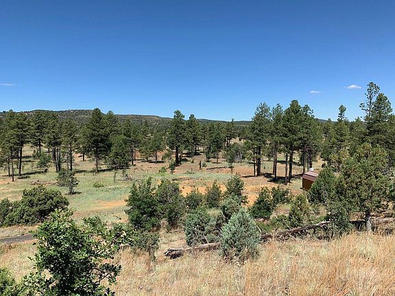 3rd image of 872 Pine Meadow Ln