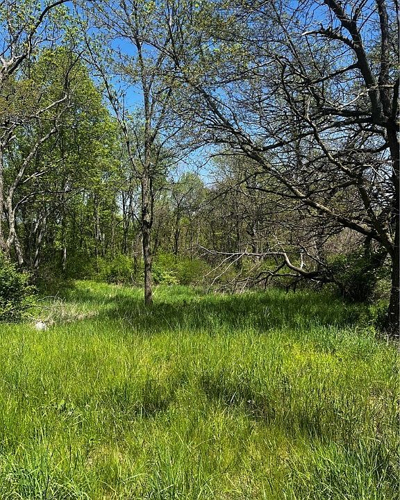2nd image of 8697 Euga Rd