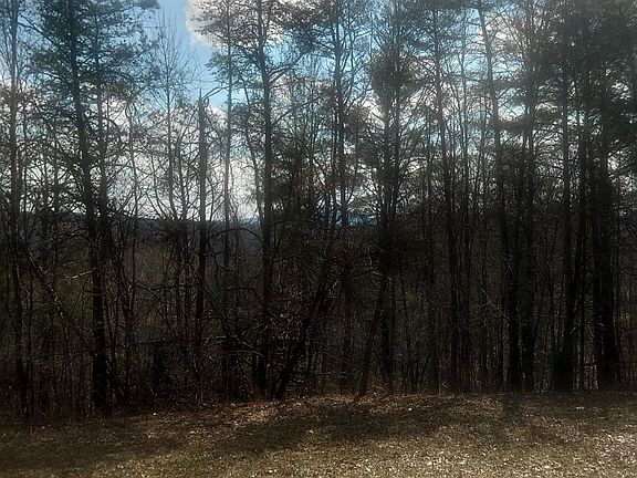 4th image of Dobbins Hollow Rd