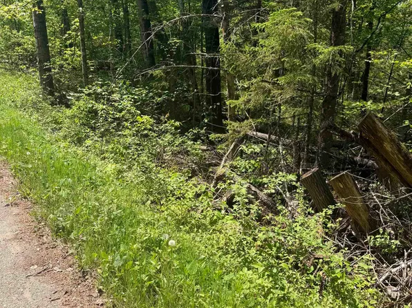 Lower Dam Rd #4 & 5, Mountain, WI 54149