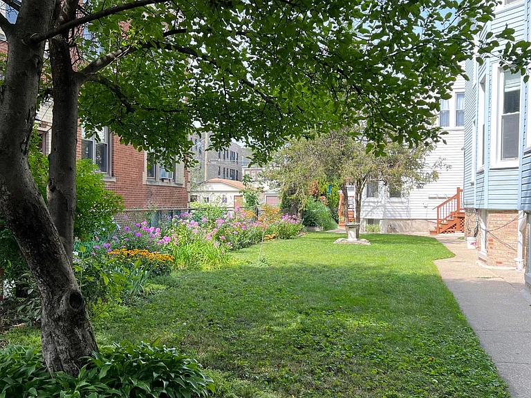 Huge shared yard