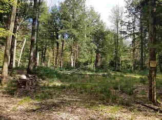 Elmer Brown Rd, Northville, NY 12134