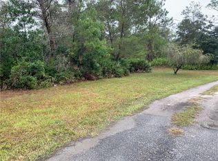 2107 McMichael Rd, Saint Cloud, FL 34771