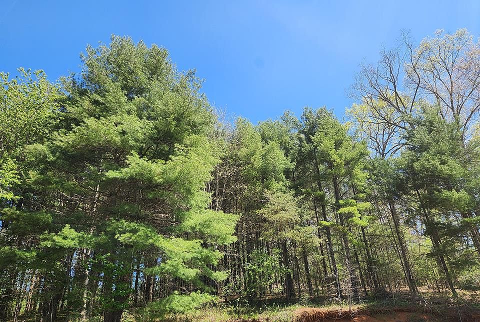 1st image of 46 Silverleaf Rd