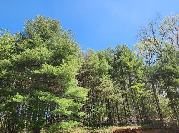 46 Silverleaf Rd, Hillsville, VA 24343