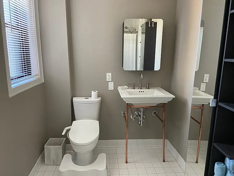 Main bathroom toilet and sink