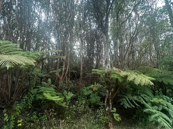 11 Road, Volcano, HI 96785