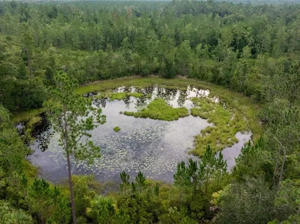 NE 150th Avenue Rd, Fort Mc Coy, FL 32134