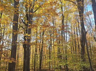 0 Stark Rd #17, Mancelona, MI 49659