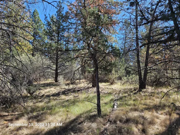 0 Jaguar Ln Lot 29, Bonanza, OR 97623