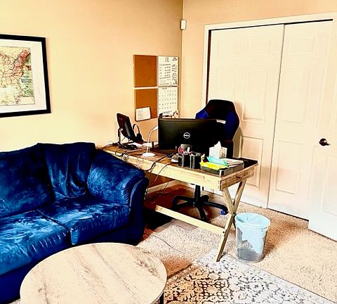 Lower level living room/office.