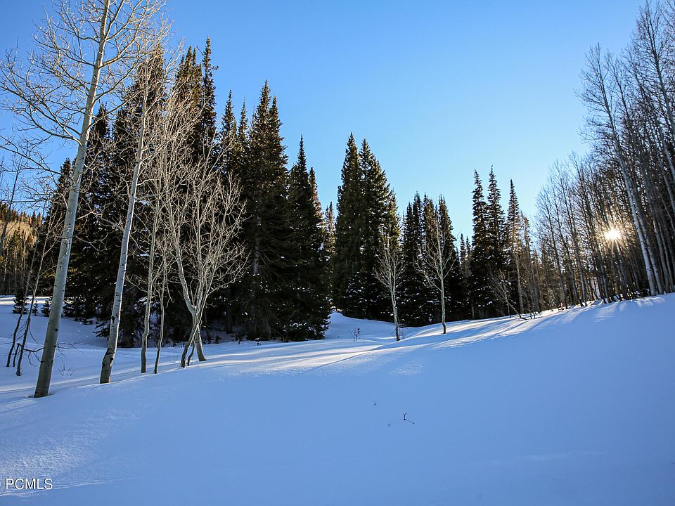 1st image of 329 White Pine Canyon Rd