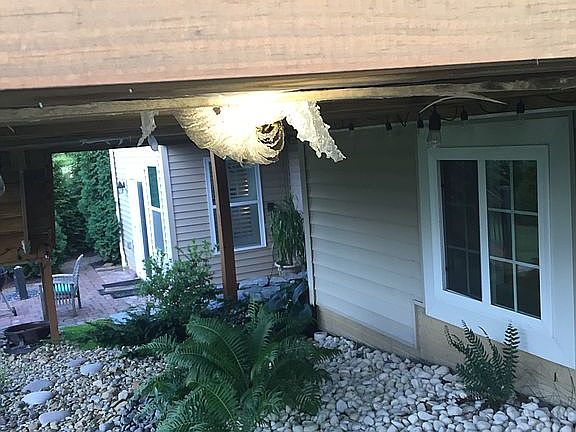 5th image of 9388 Grace Dr