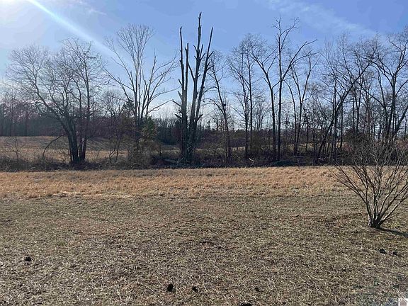 5th image of 80 Bluegill Ln