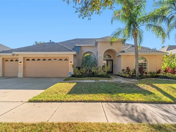 19104 Nature Palm Ln, Tampa, FL 33647
