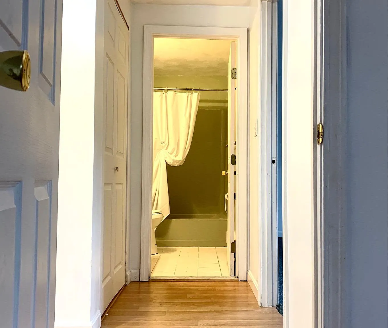53 Swanson Ct — Photo 4