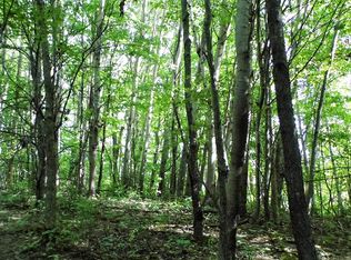 3700 Harmon Lake Rd, Kingston, MI 48741