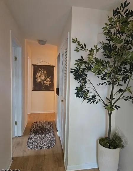87 Junco Ct — Photo 7