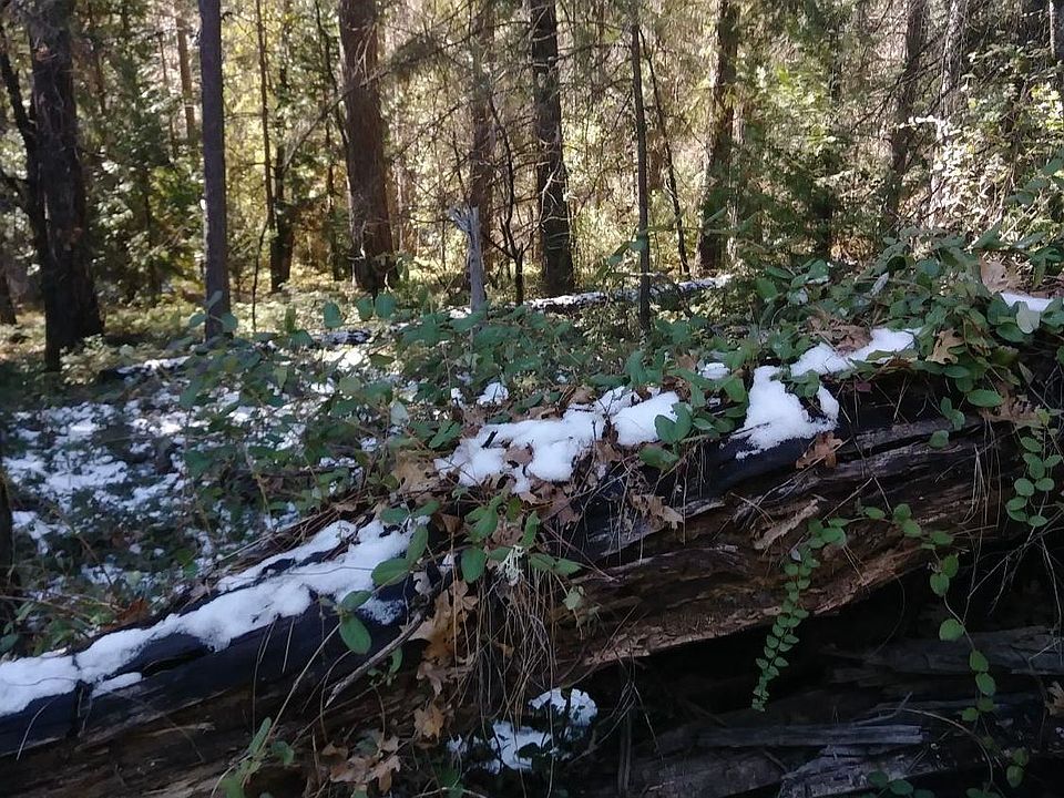 2nd image of 464 Skull Flat Rd