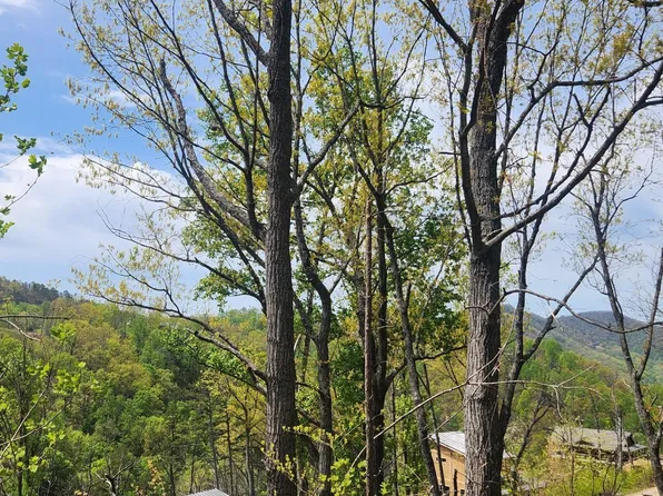 1516 Headrick Lead Lot 15&16, Sevierville, TN 37862