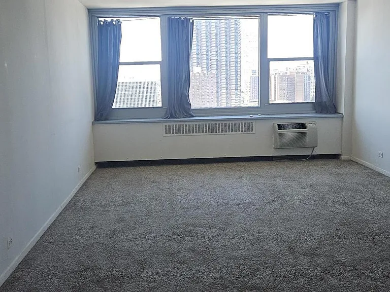 555 W Cornelia Ave #2009 — Photo 4