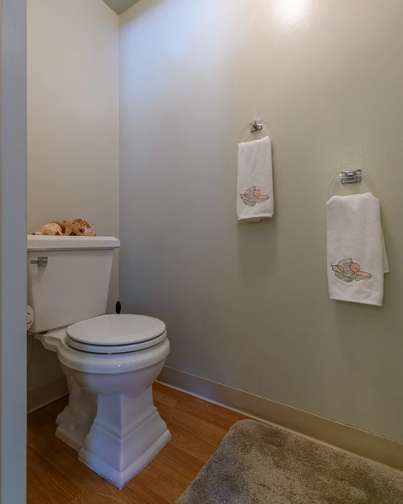 1 bed, 300 sqft, $800 — Photo 2