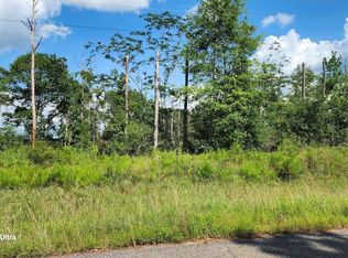 33816 Hesters Store Rd, Red Level, AL 36474