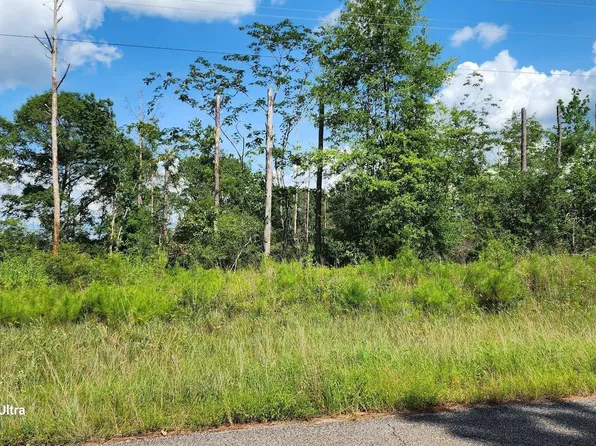 33816 Hesters Store Rd, Red Level, AL 36474