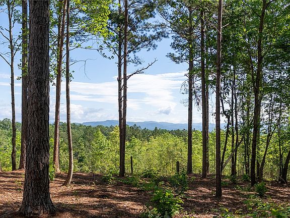4th image of 1 Canebrake Dr